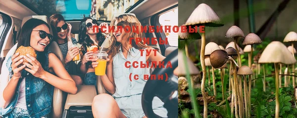 синтетический гашиш Ладушкин