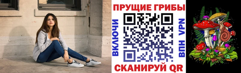 Купить закладки  Волжский  Галлюциногенные грибы прущие грибы 